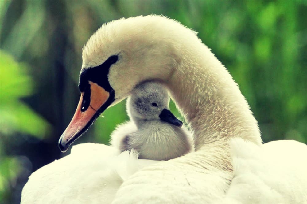 Mom, I am not just your daughter.