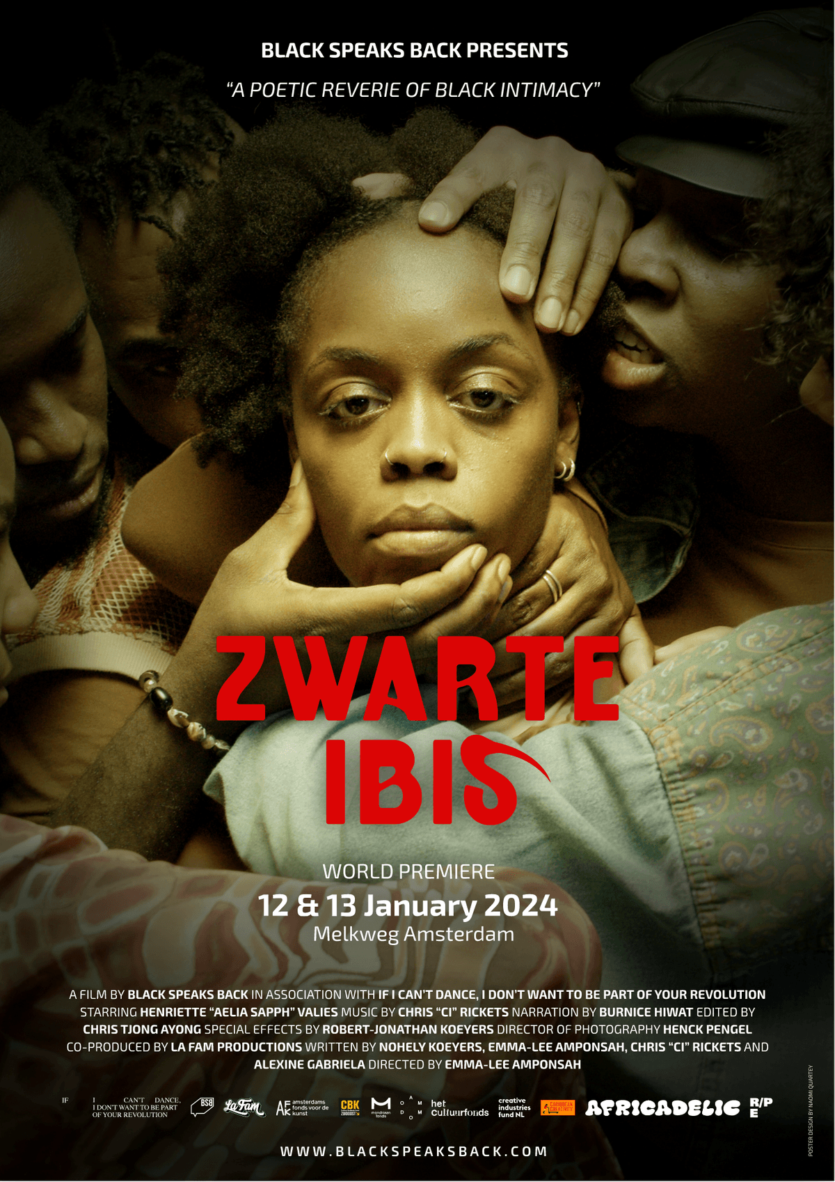 Zwarte Ibis (Black Ibis, 2024)