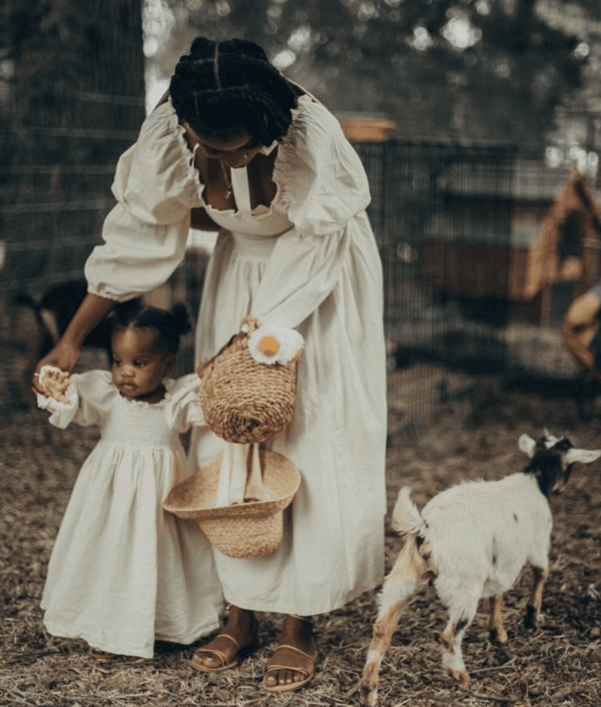 The messy politics of #homesteadcore